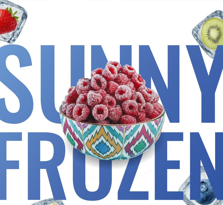 Sunny Frozen — логотип и фирменный стиль